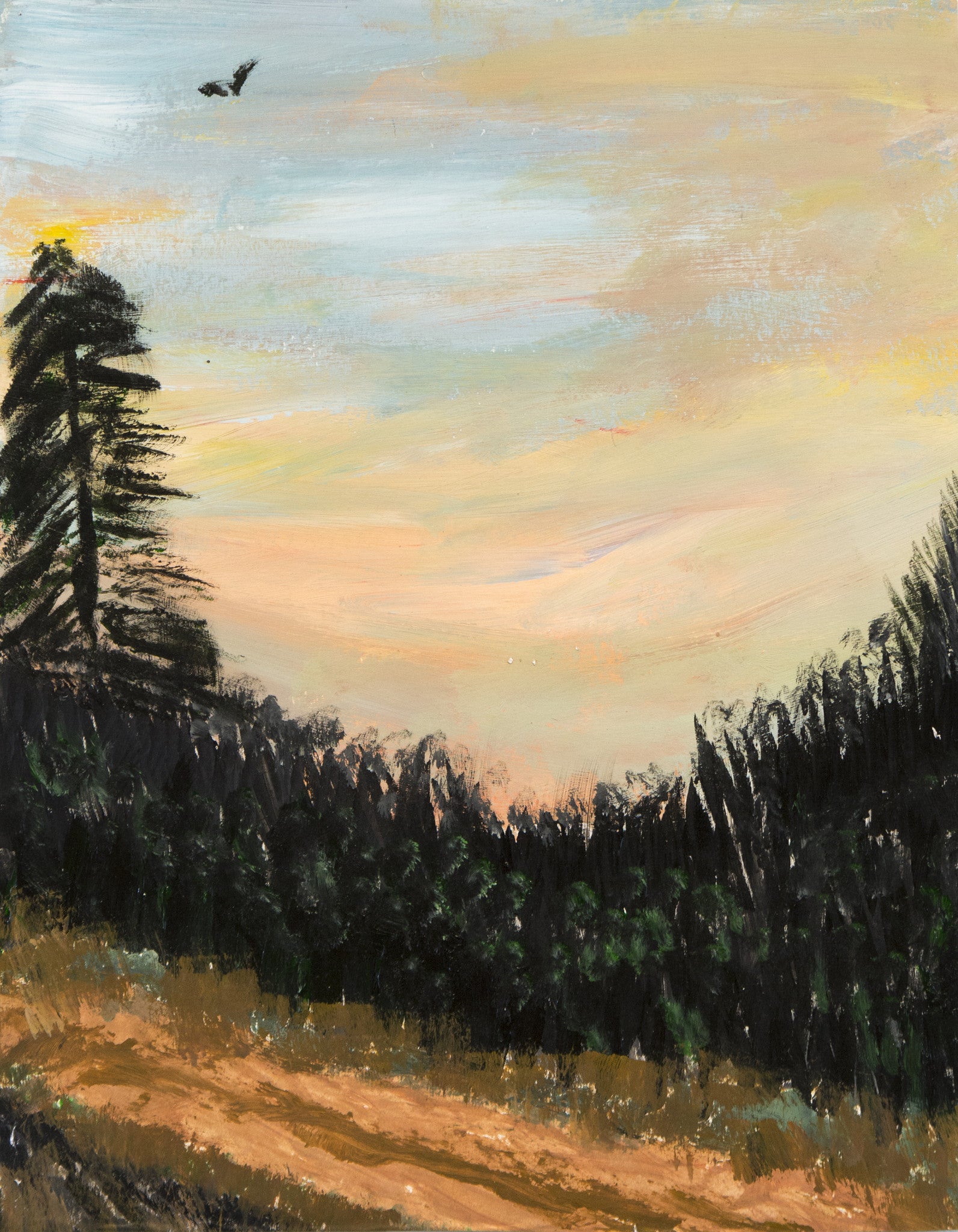 New England Sunset - ArtLifting