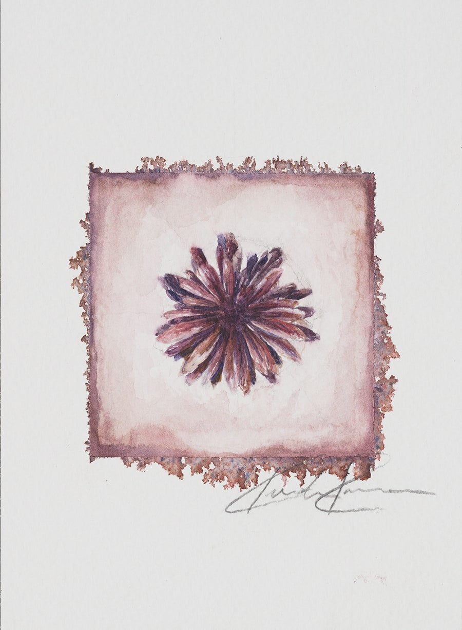 Purple Aster Print Kendra Rowan